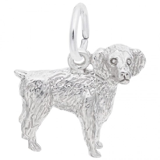 https://www.brianmichaelsjewelers.com/upload/product/8476-Silver-Boykin-Spaniel-RC.jpg